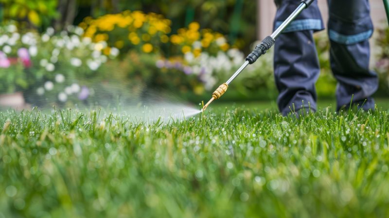lawn care mn